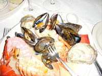 shellfish.jpg 200×150 9K