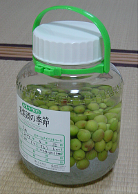 umeshu2005.png 200×280 102K